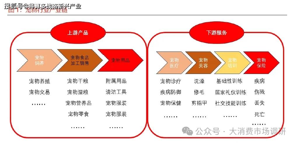 展现状与驱动因素分析（15页报告）CQ9