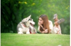 业链分析：现状、痛点、需求、趋势CQ9电