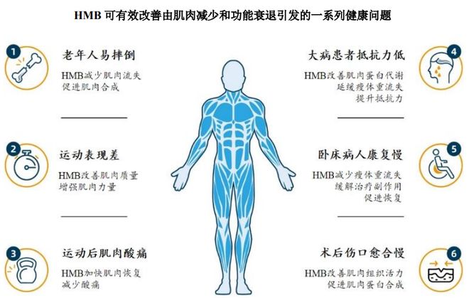 ：扎根运动健康赛道凭多元布局赢长远未来CQ9电子平台HMB全球龙头技源集团(图2)